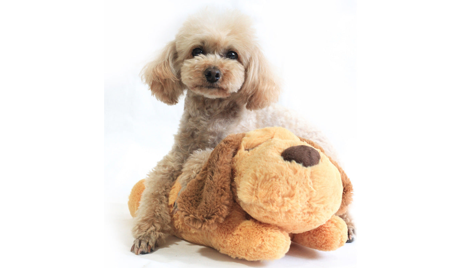 HOD One Size Comforter Heartbeat Pet Anxiety Sleep Plush Toy Harvey Norman