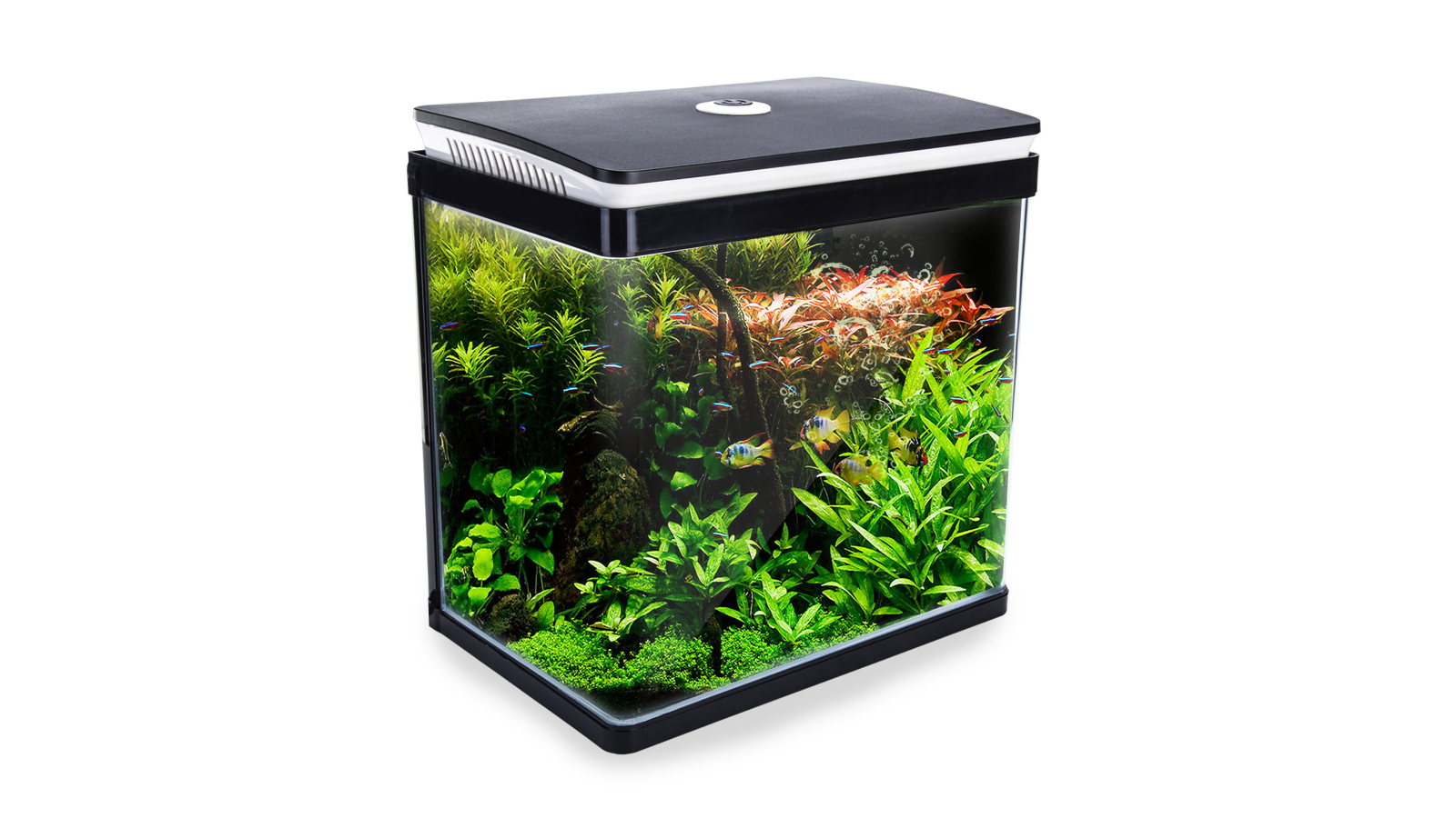 Aquarium Curved Glass RGB LED Fish Tank Set Filter Pump - 30L