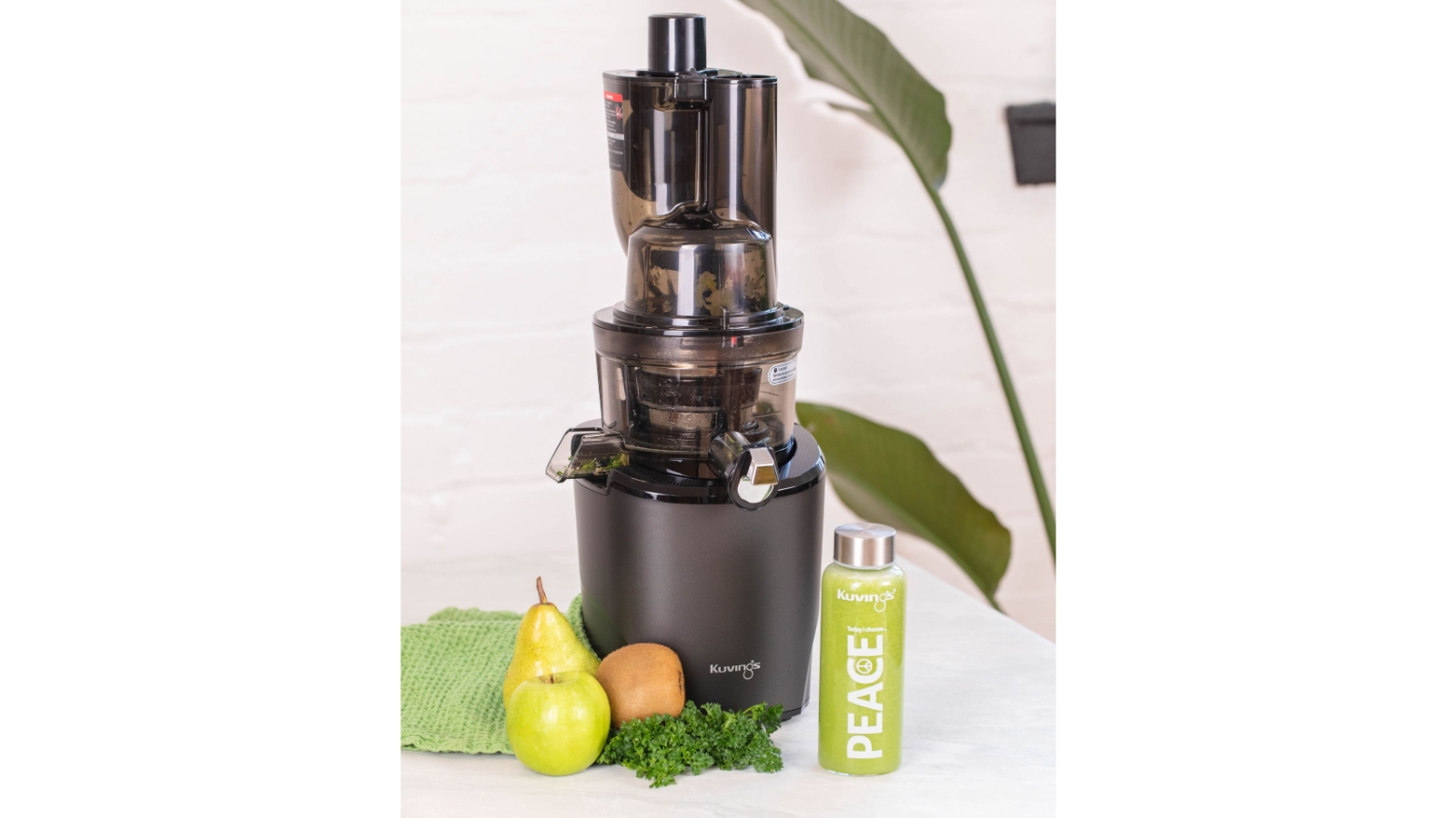 Kuvings REVO830 Revolution Cold Press Juicer Matte Black Pearl