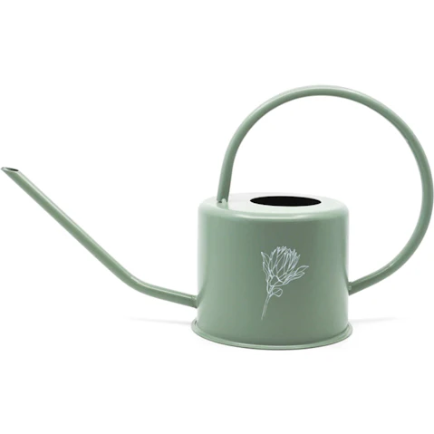Rayell Homewares Metal Decorative Watering Can Home Decor - Bloom Olive