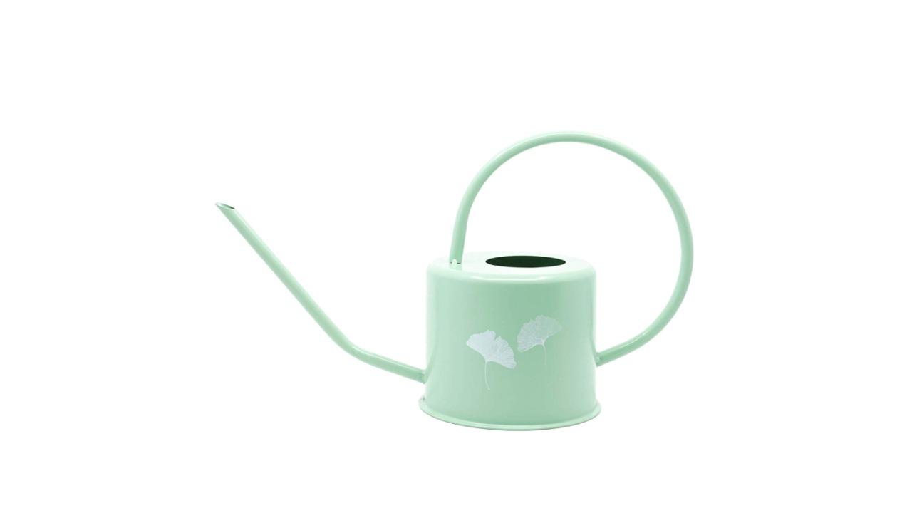 Rayell Ginkgo 36cm Metal Watering Can Container for Gardening - Pistachio