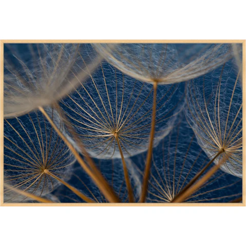 Macro Botanical I Wall Art