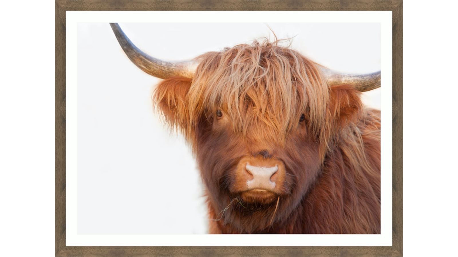 Hamish I Camouflage Framed Wall Art - Small | Harvey Norman
