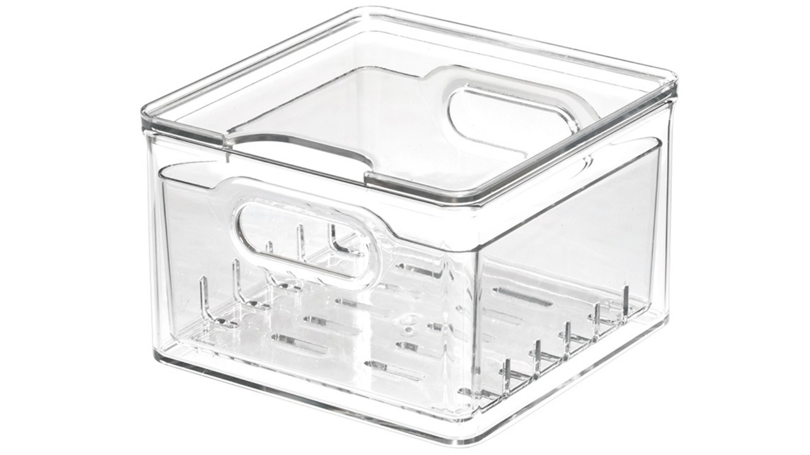iDesign Home Berry Storage Bin