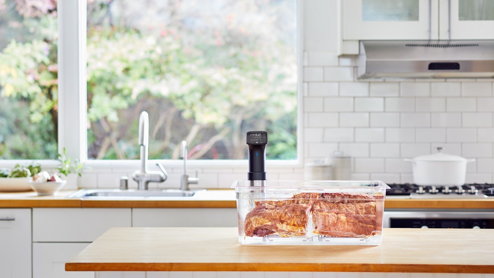 キッチン家電 ANOVA Precision Cooker Pro Anova Precision® Cooker プロ -Anova Culinary