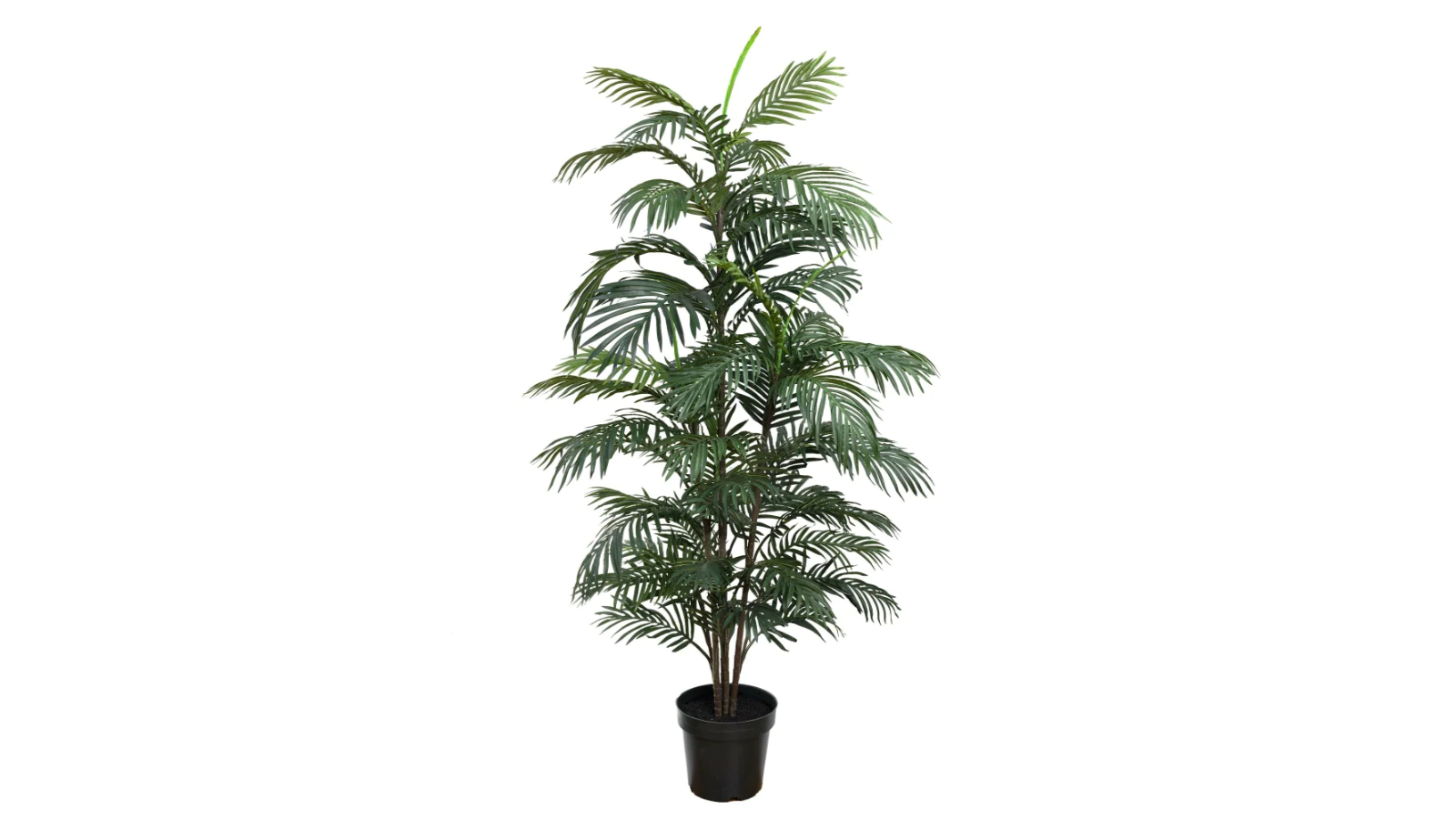 Glamorous Fusion Green Areca Artificial Plant - 180cm