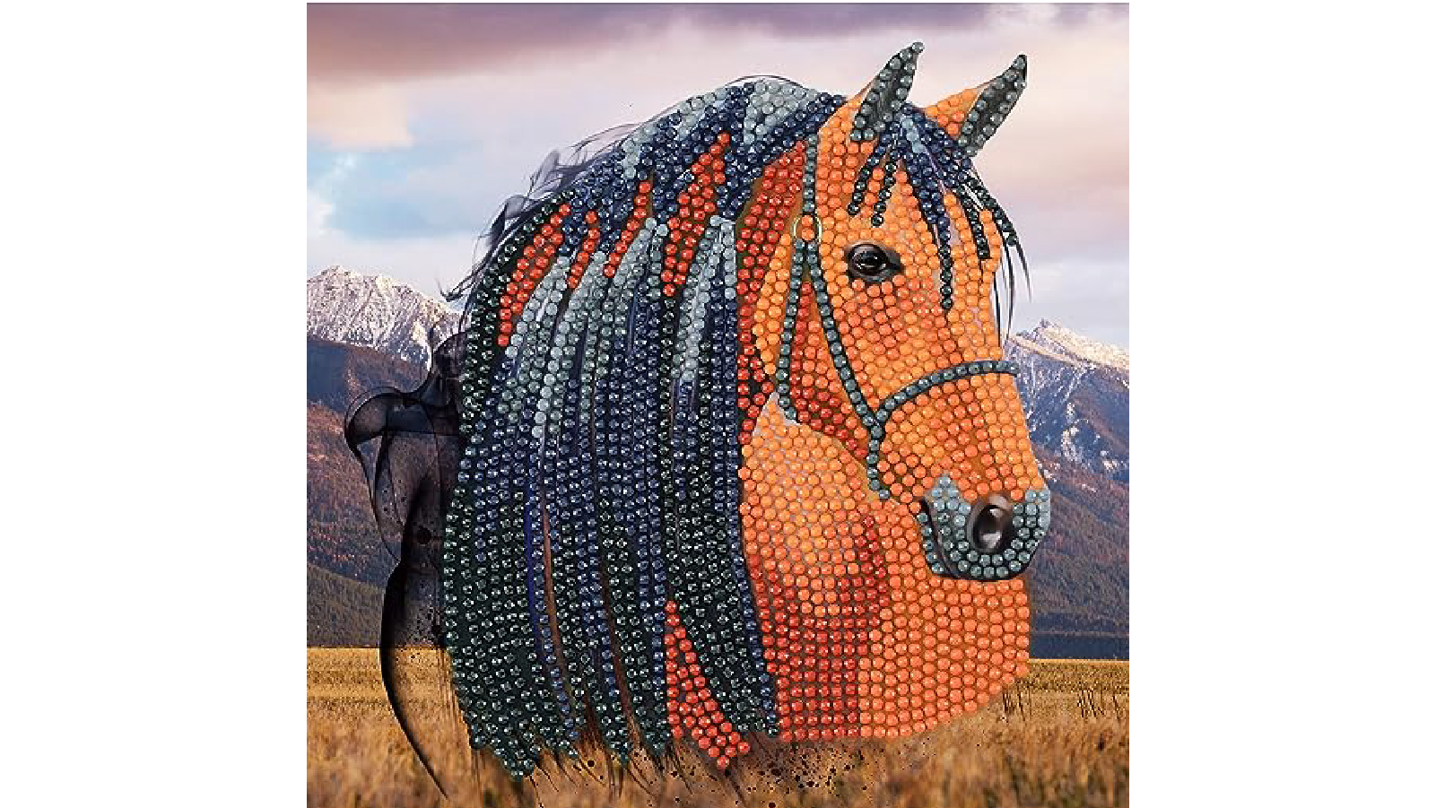 Craft Buddy Horse Card Crystal Art
