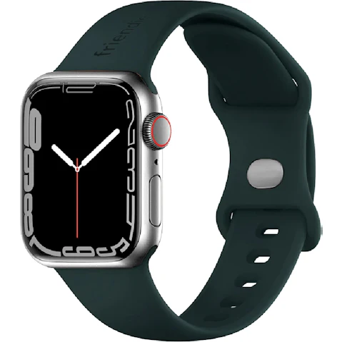 Friendie 42mm The Noosa Sports Band - Green Silver