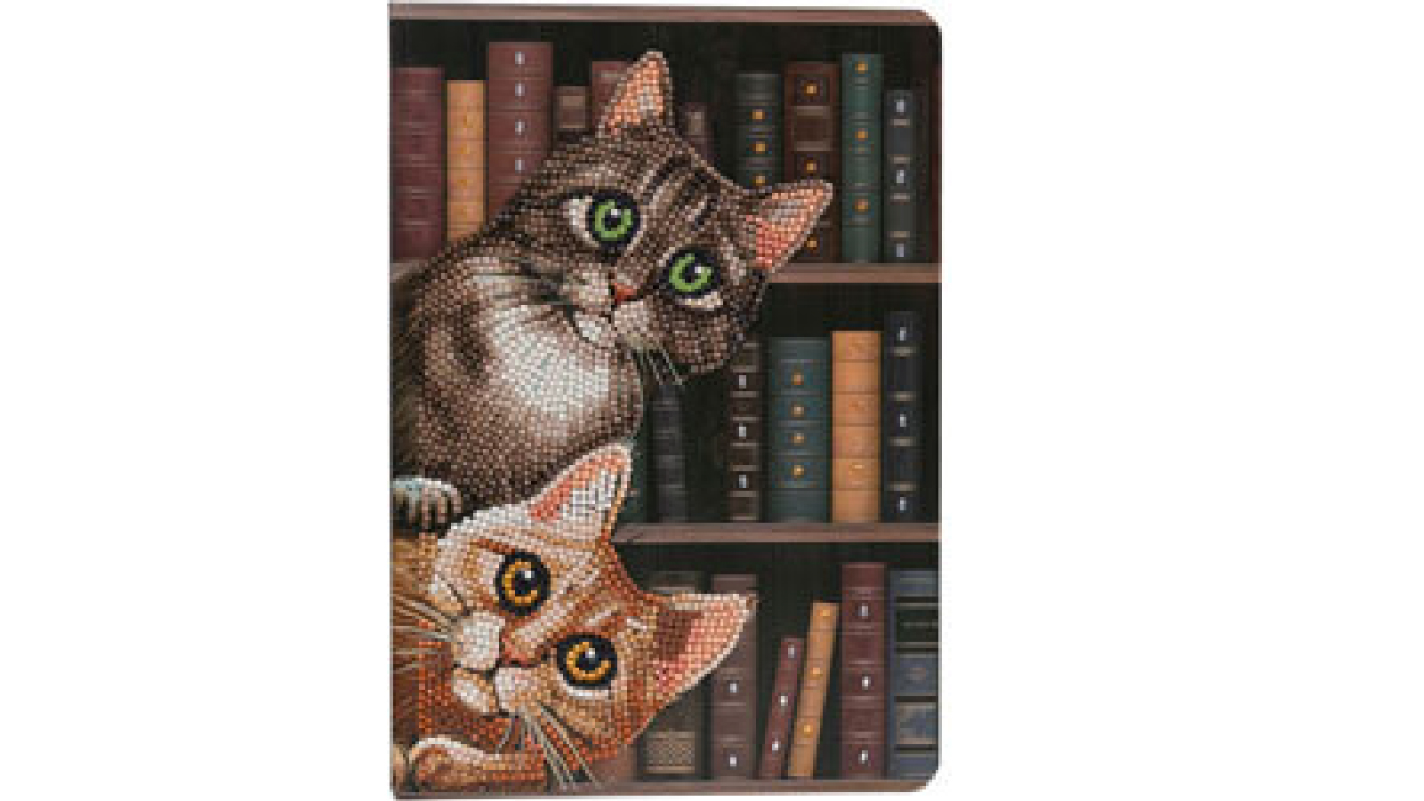 Craft Buddy Cats in the Library Notebook Crystal Art