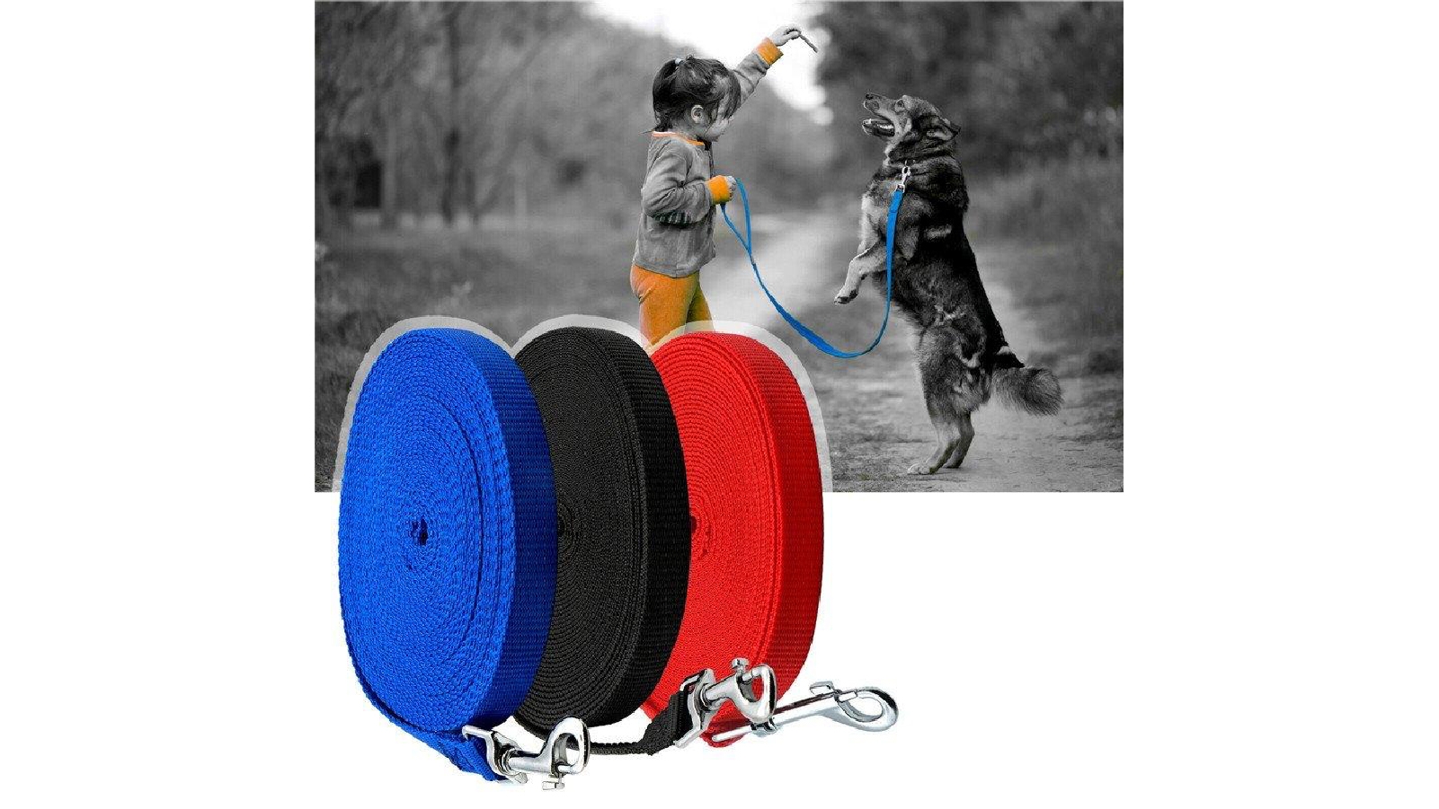HOD 20 Metre Long Nylon Dog Leash Pet Puppy Training Obedience Dog Walking Equipment Blue Harvey Norman