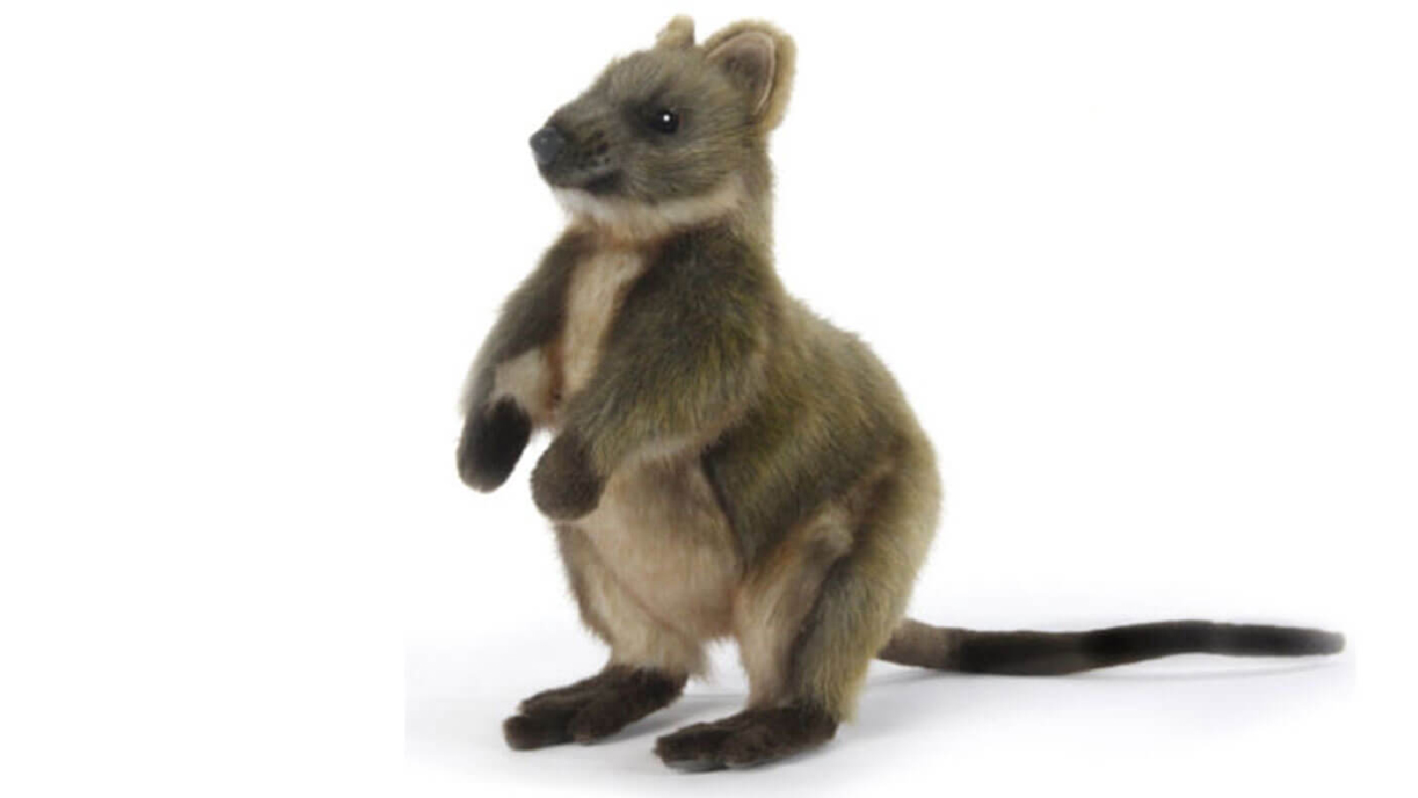 Hansa 22 cm Quokka Plush Toy