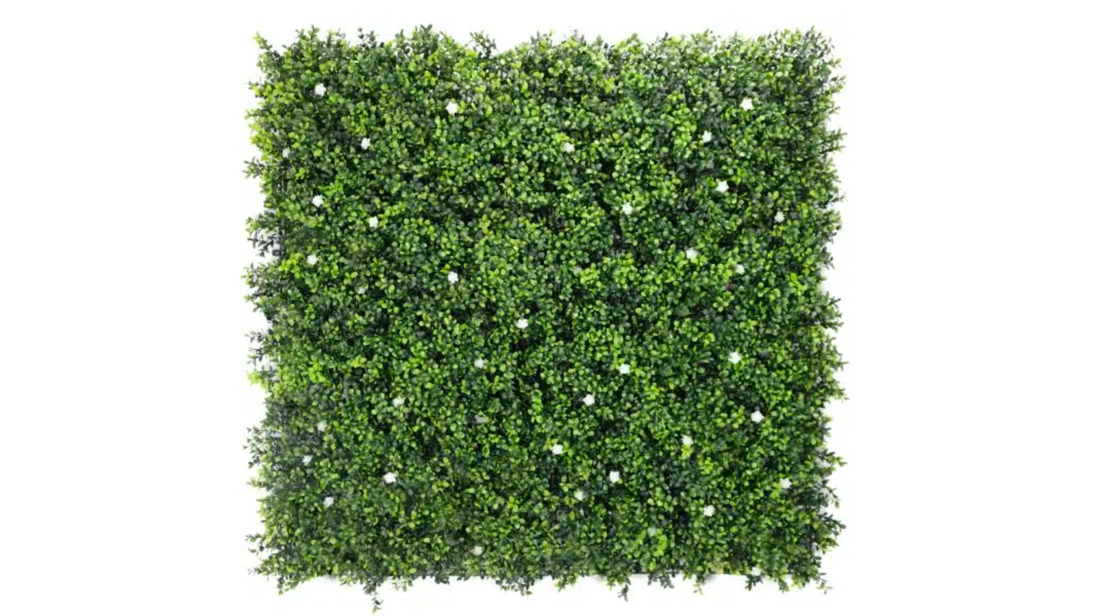 Designer Plants UV Resistant Flowering Artificial Buxus Hedge Panel 