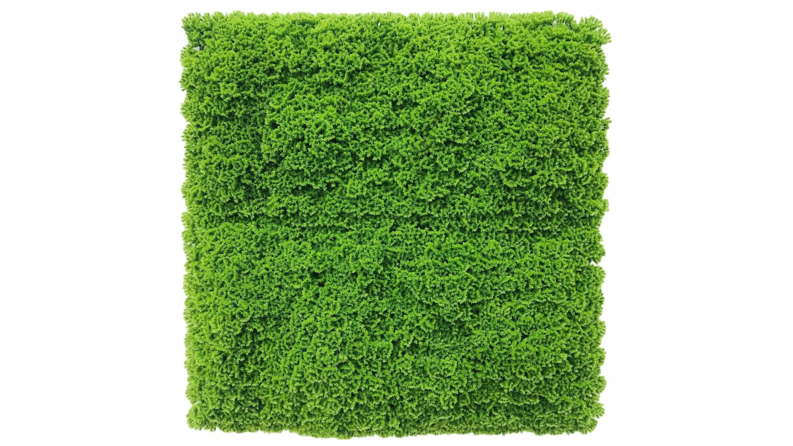 Designer Plants UV Resistant Natural Artificial Moss - 1 x 1metre