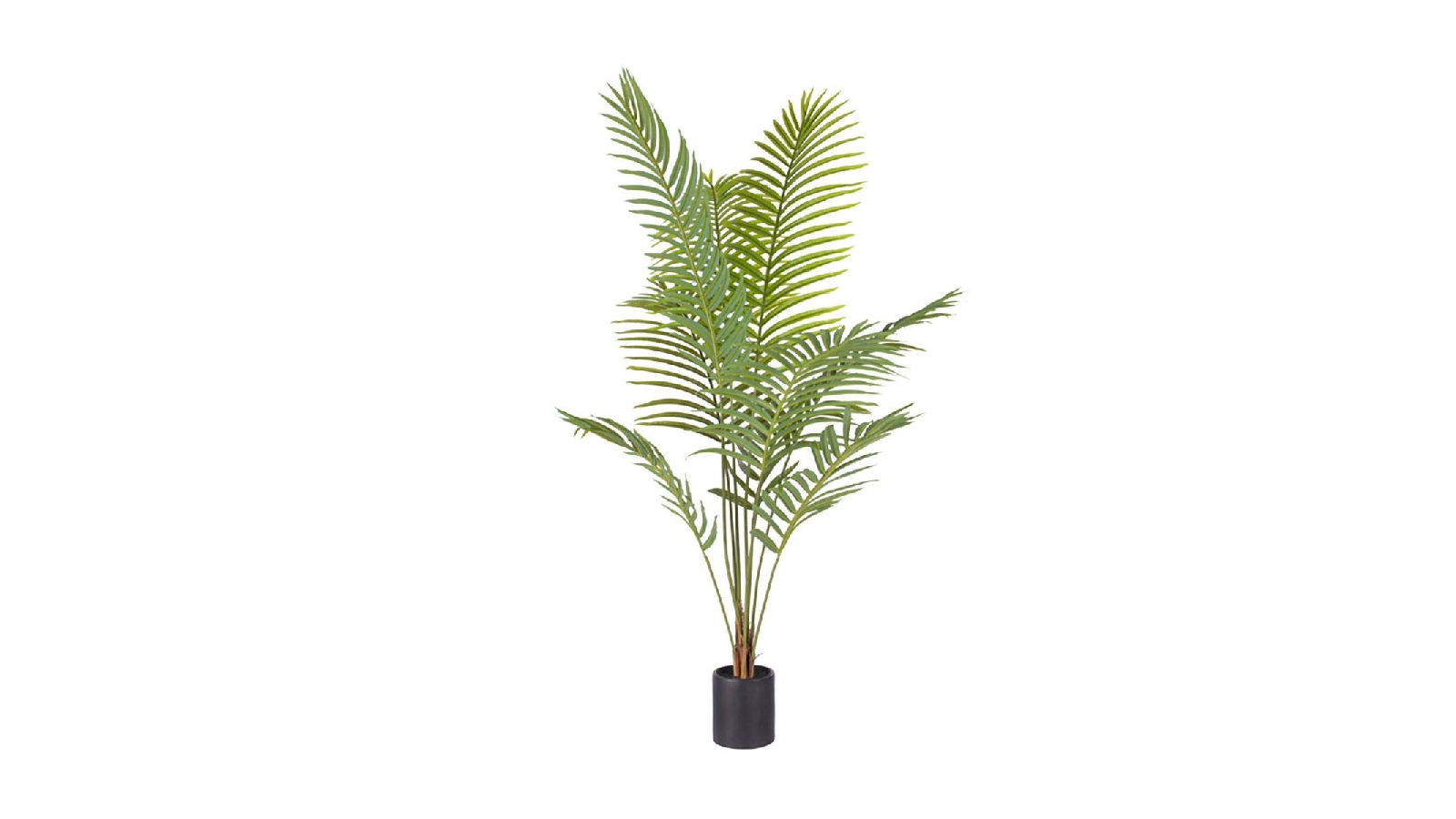 Soga 180cm Artificial Rogue Areca