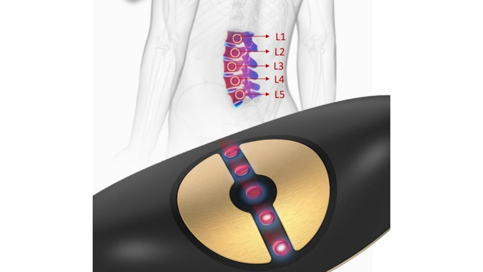 Gilani Engineering Electric Back Massager Harvey Norman