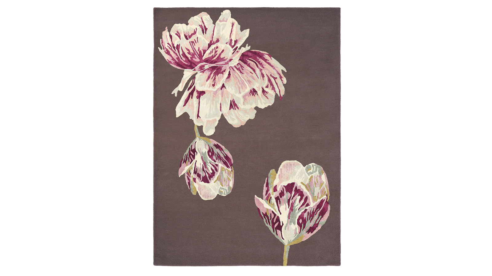 Ted Baker Tranquility Aubergine 56005 Rug - 350 x 250cm