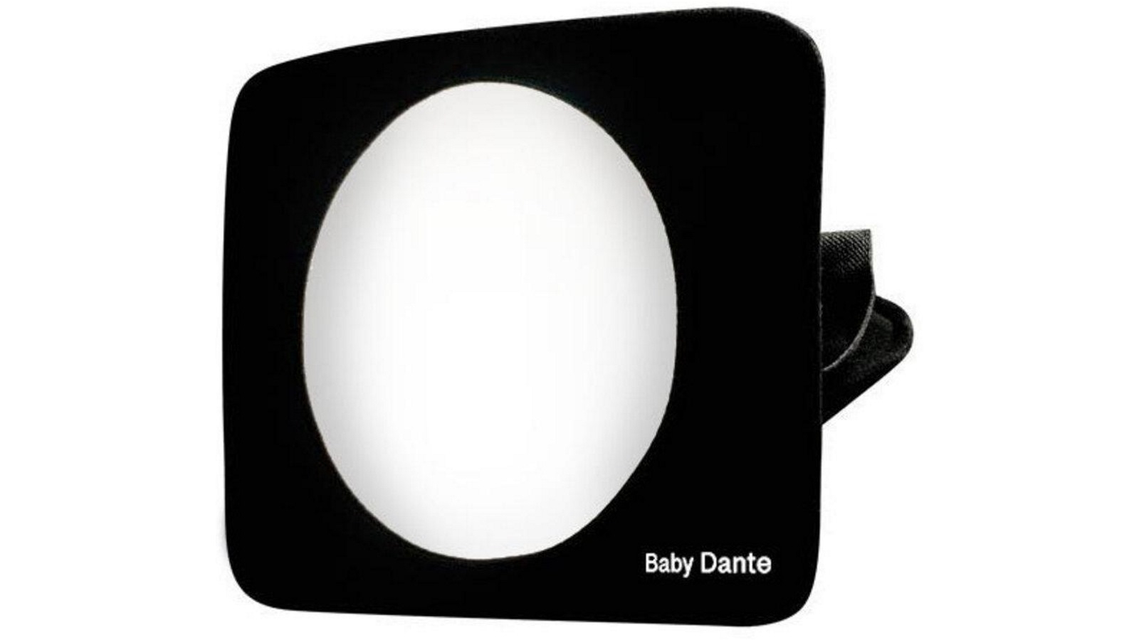 Roger Armstrong Travel Safe Full View Safety Mirror