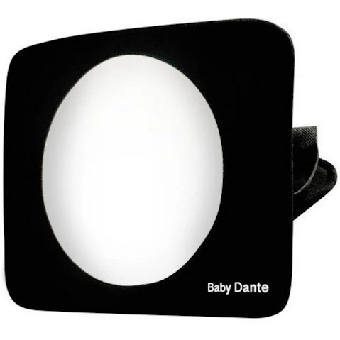 Roger Armstrong Travel Safe Full View Safety Mirror