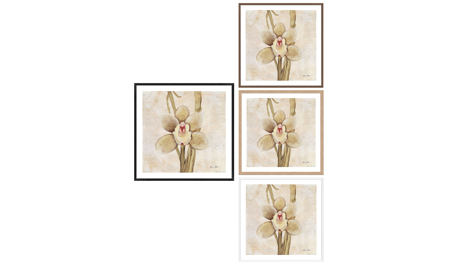 La Grolla Orchid II Frame Wall Art