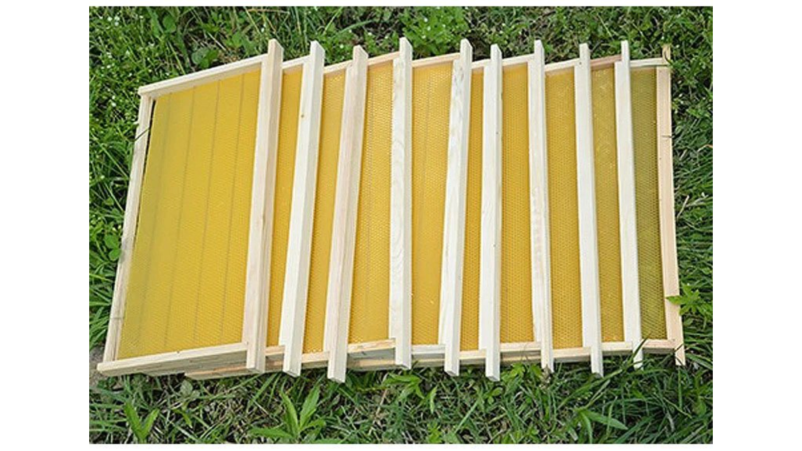 AUPK Beehive 10 Piece Frames with Wax Foundation
