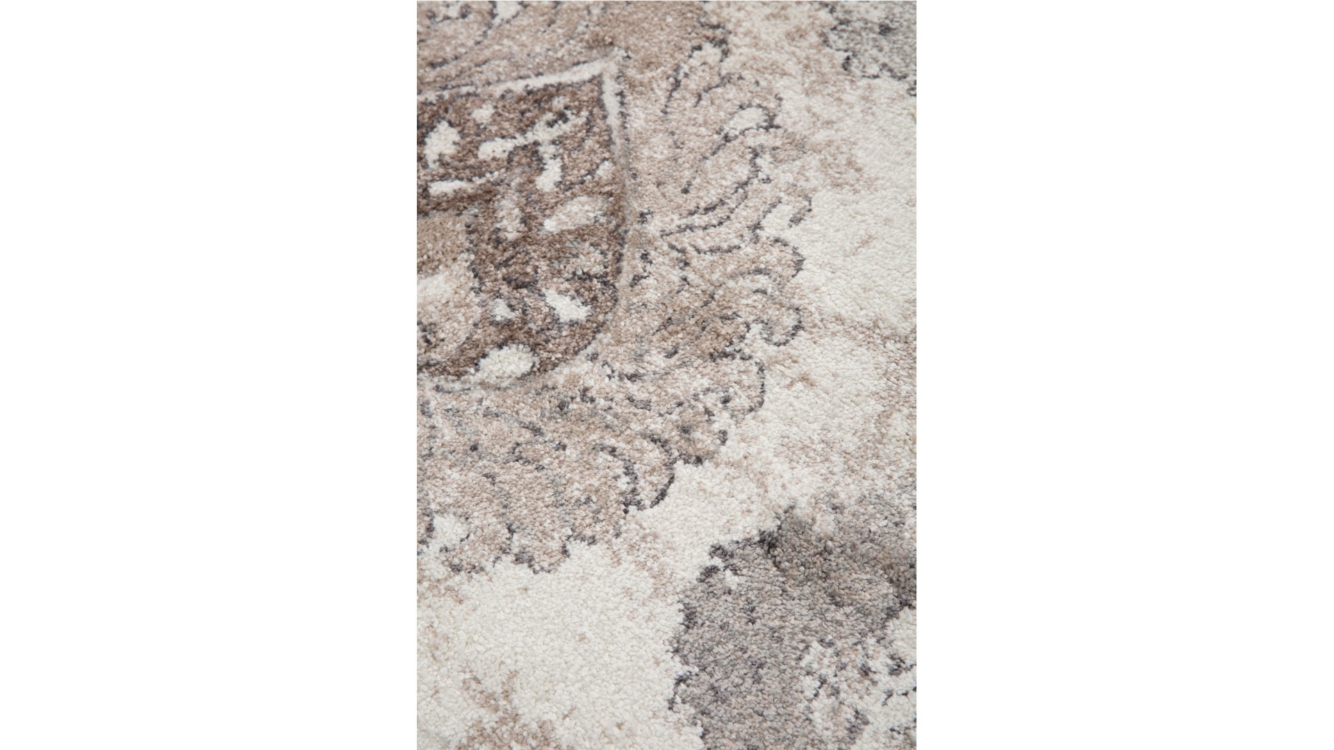 Castro Love Birds Beige Rug | Harvey Norman