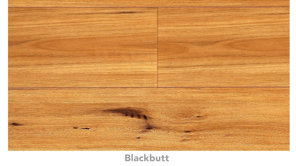 Eucalyptus Steps XL Laminate Flooring Harvey Norman