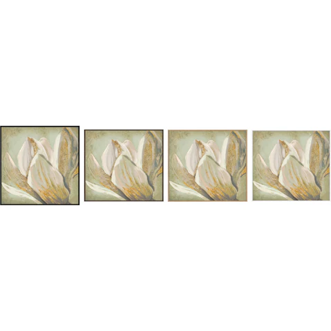 La Grolla Fresh Bloom II Gallery Wall Art