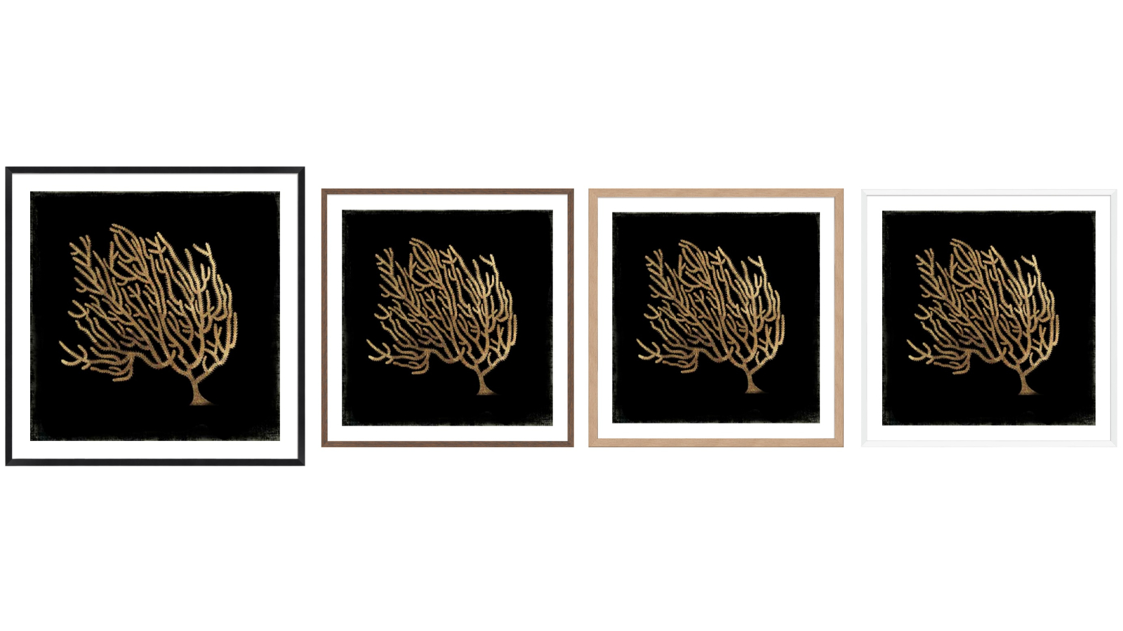 La Grolla Gold Coral II Frame Wall Art