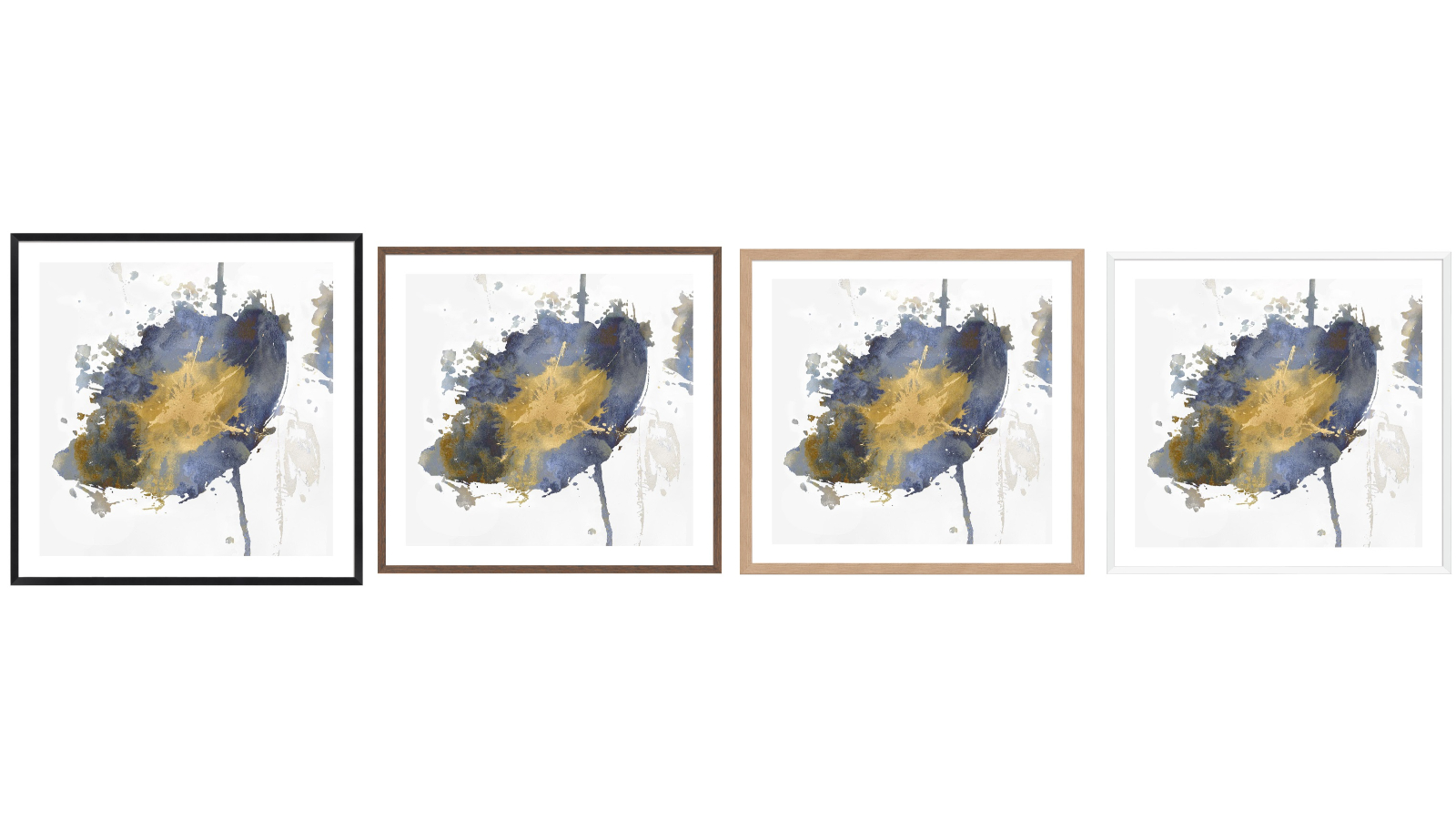 La Grolla Flower Burst III Frame Wall Art