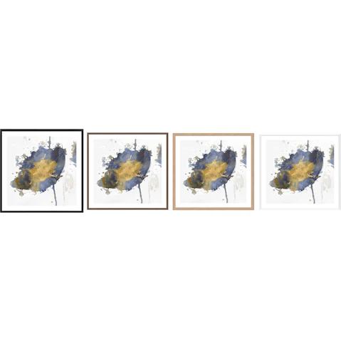 La Grolla Flower Burst III Frame Wall Art