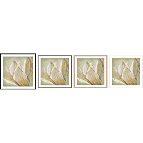 La Grolla Fresh Bloom II Frame Wall Art