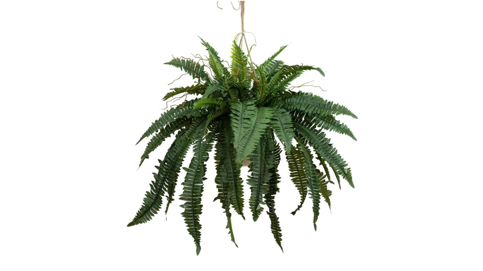 Glamorous Fusion Green Boston Fern Artificial Hanging Planter with Rope ...