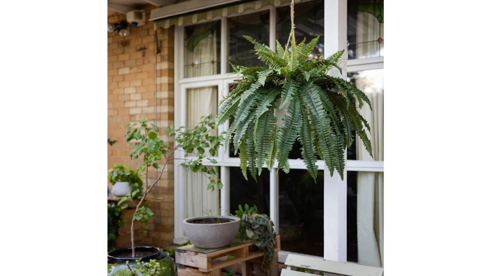 Glamorous Fusion Green Boston Fern Artificial Hanging Planter with Rope ...