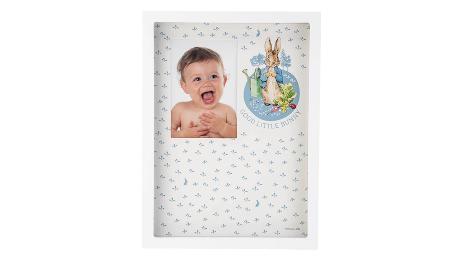 Beatrix Potter Peter Rabbit First Framed Clay Impression Set