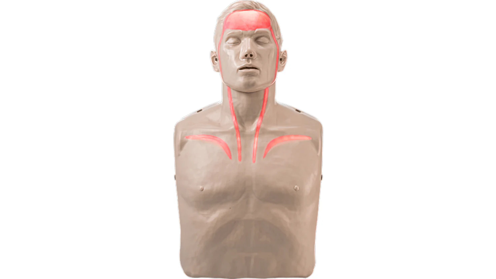 Brayden Adult Size CPR Manikin Pulse with Light Blood Flow