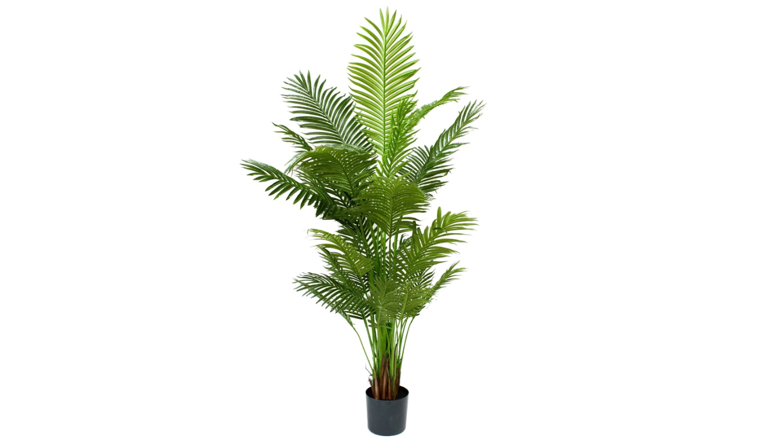 Glamorous Fusion Bright Green Areca Palm Tree Artificial Plant in Pot - 183cm