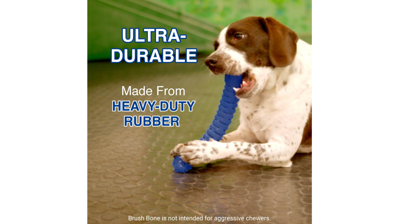 As Seen on TV Self Brushing Toothbrush for Dog Bone Pack of 2 Harvey Norman