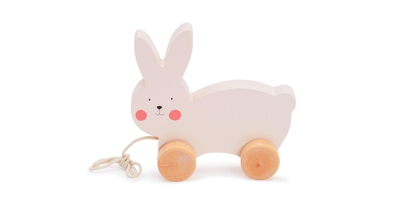 Bubble Wooden Rabbit Pull Along
