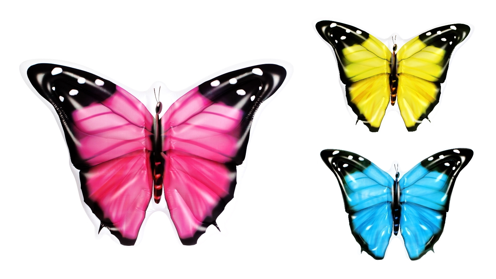 Airtime Jumbo Butterfly Float | Harvey Norman