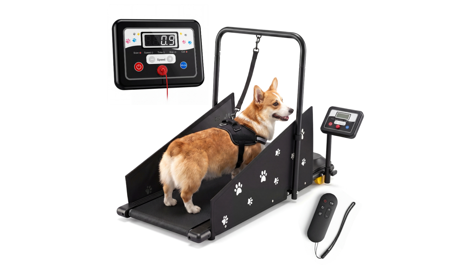 Advwin Dog Running Machine with LED Display