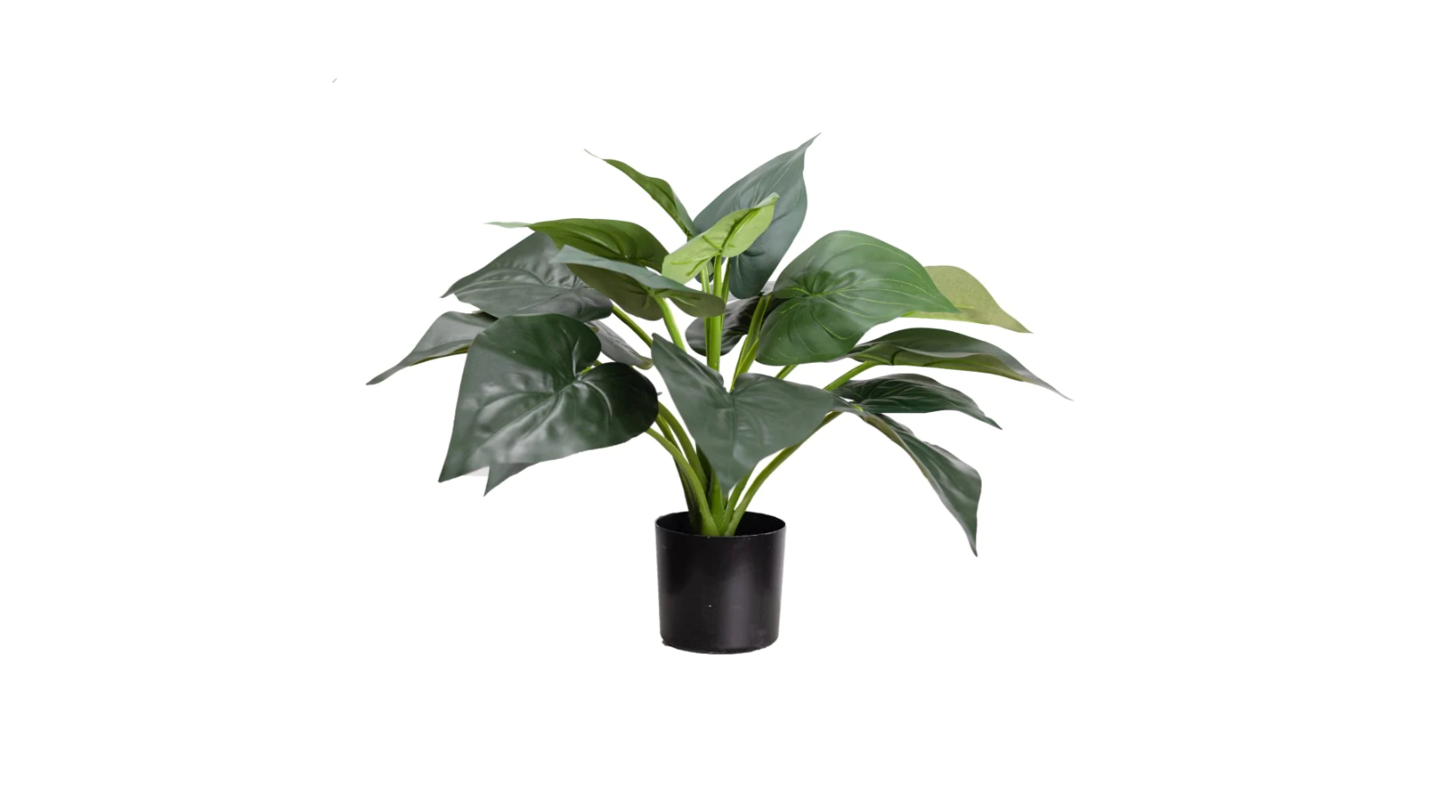 Glamorous Fusion Calathea Artificial Plant in Pot - 49cm