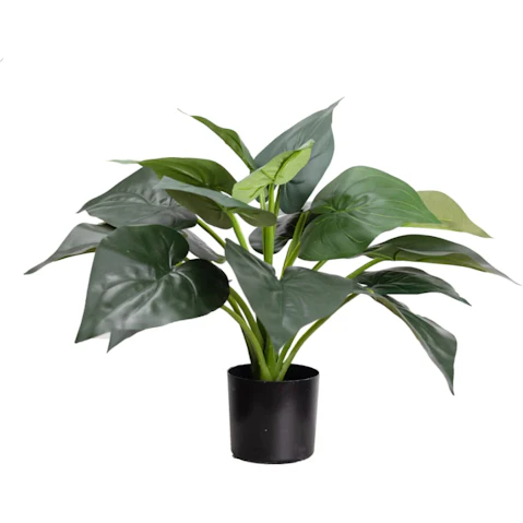 Glamorous Fusion Calathea Artificial Plant in Pot - 49cm