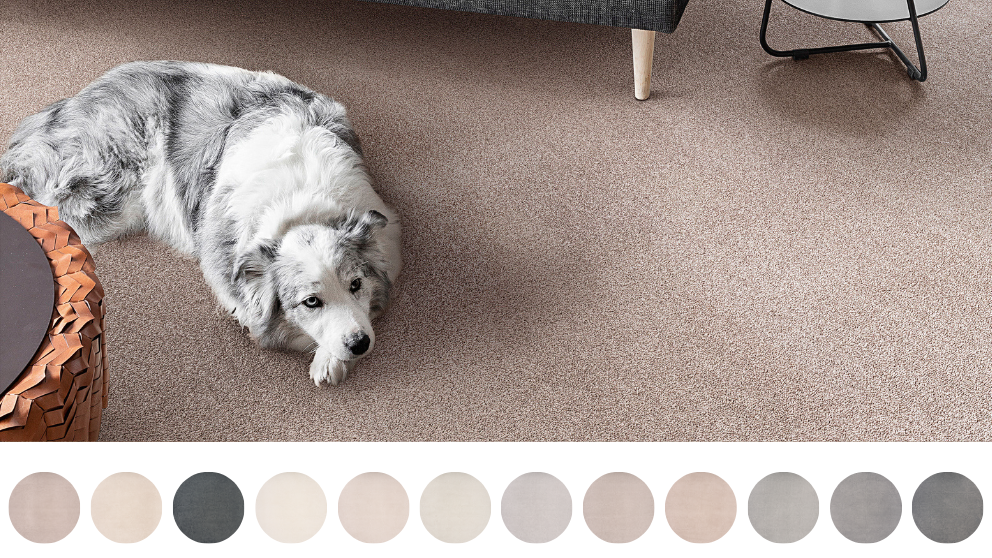 Beaulieu Calisse Carpet