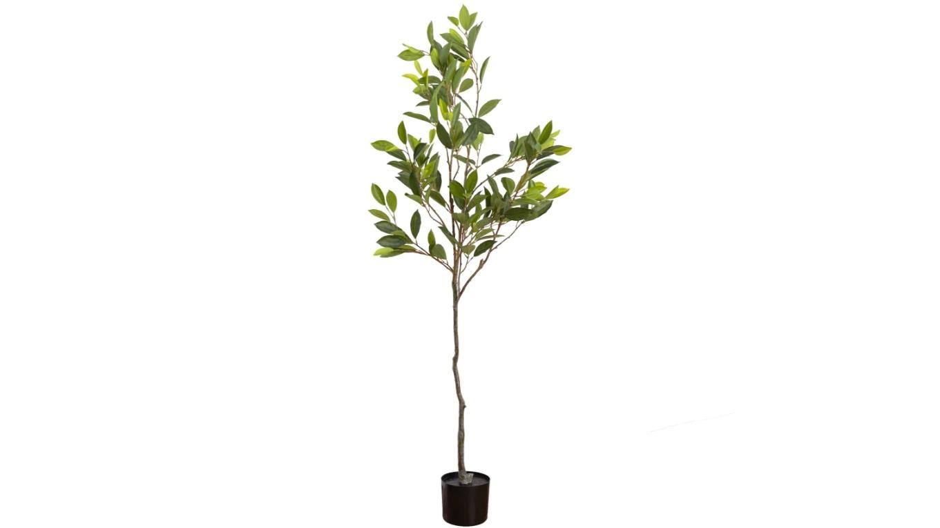 Glamorous Fusion Green Cameillia Leaf Tree Artificial Faux Plant - 152cm