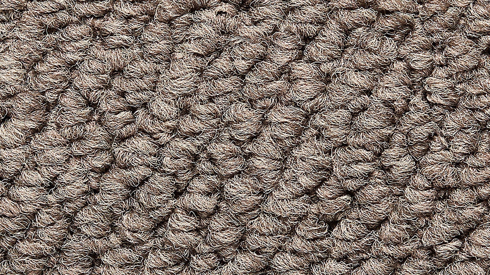 Bark