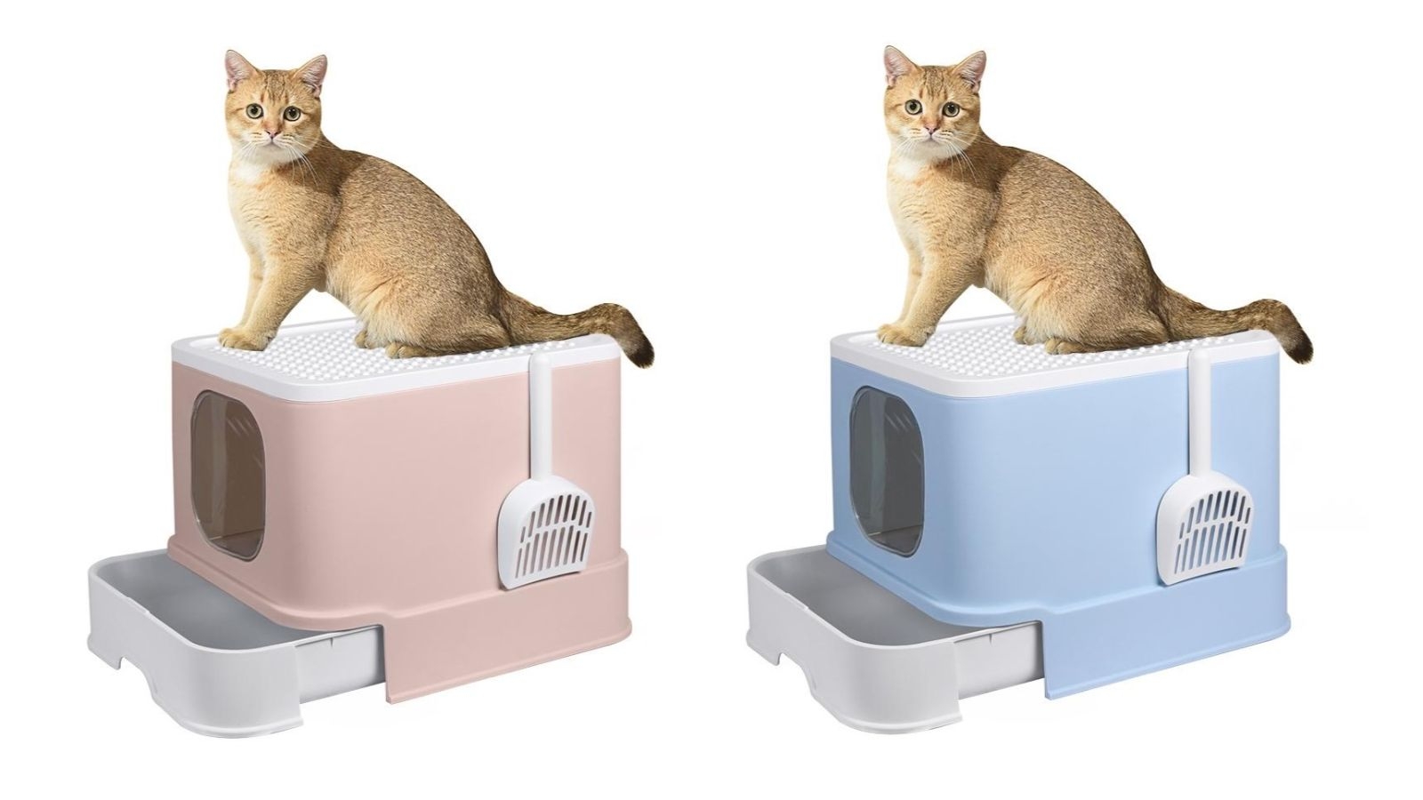 PaWz Cat Litter Box