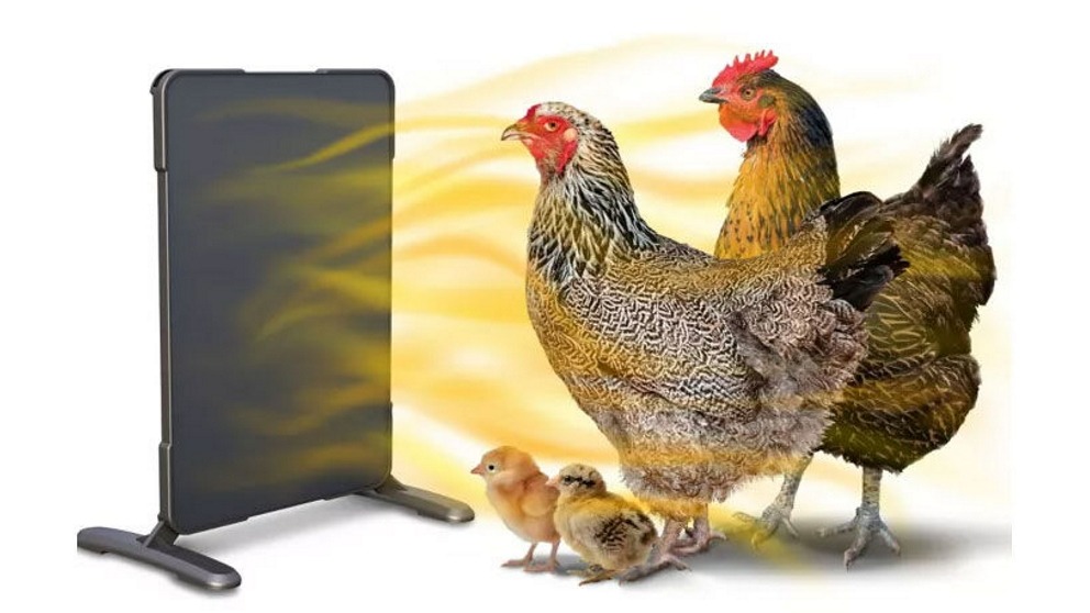 Flyline Chicken Coop Heater and Brooder for 10 Chick/Birds
