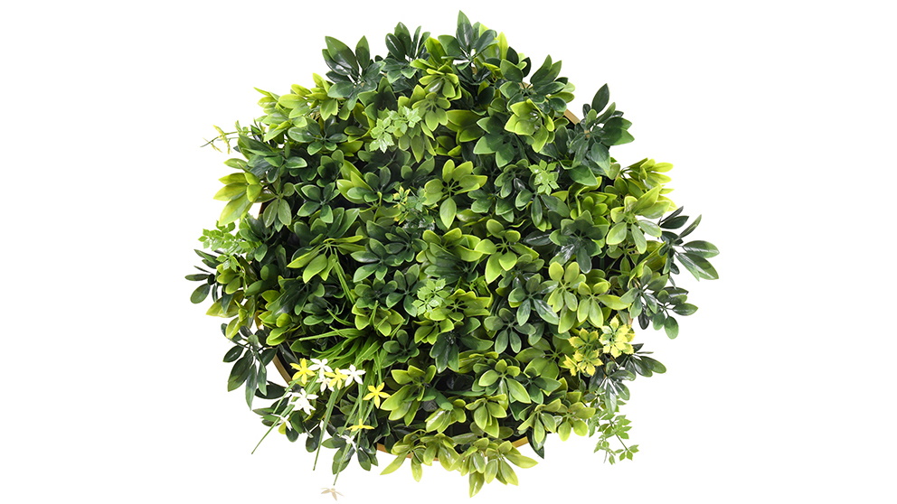 YES4HOMES Green Artificial Plant Wall Disc Art with Fireworks Daffodil Smile Frame - 50cm