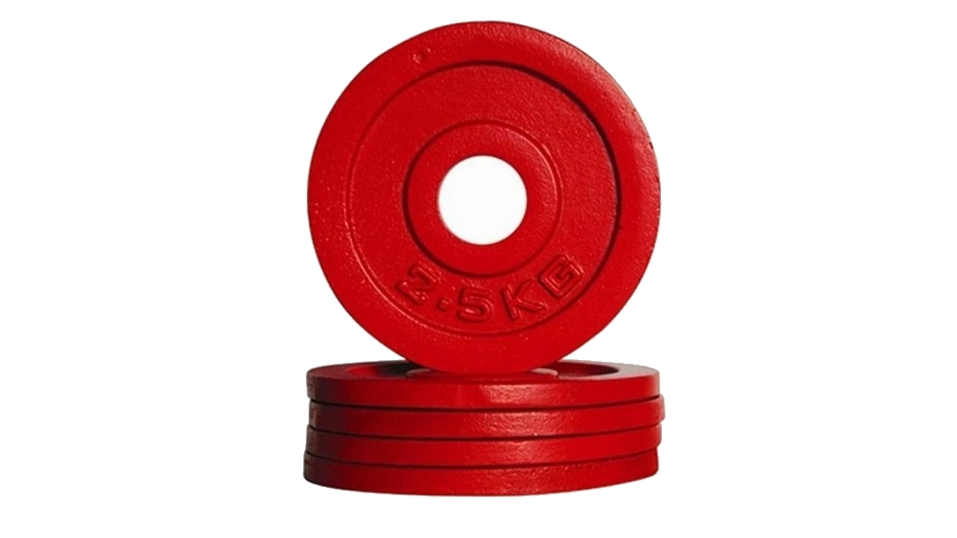 Morgan Sports Pair of 2.5kg Fractional Weight Plates
