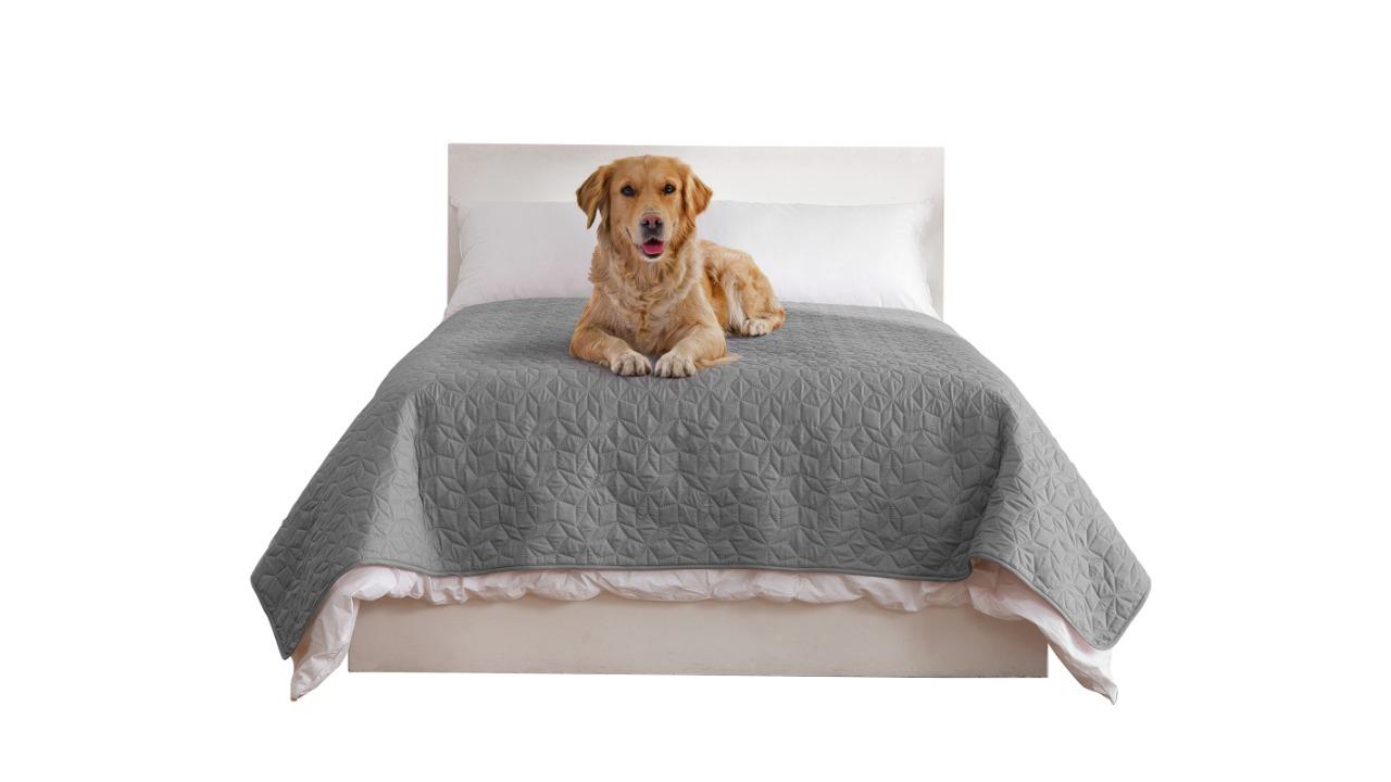Charlie's Sofur Dog Double/Queen Bed Cover - Grey
